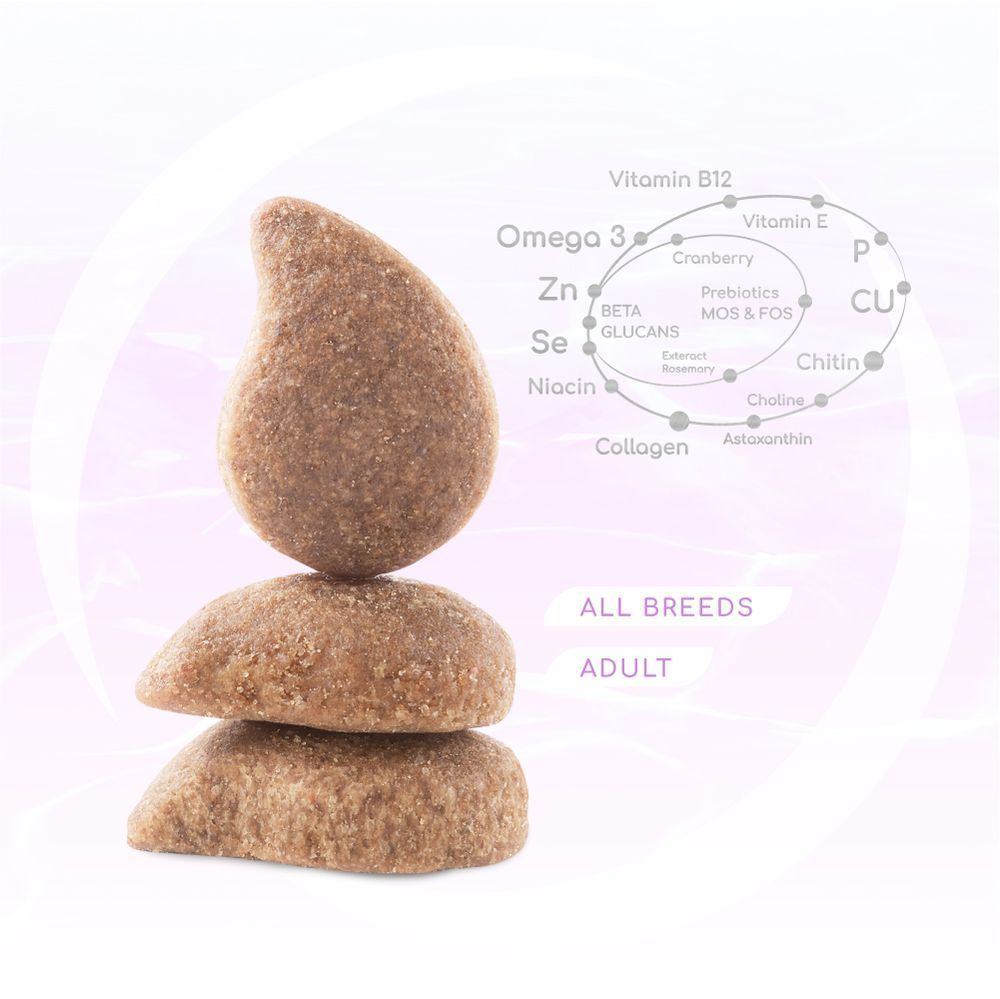 Сухий корм для собак Optimeal Beauty Harmony 1,5 кг - морепродукти Сухий корм для собак Optimeal Beauty Harmony 1,5 кг - морепродукти