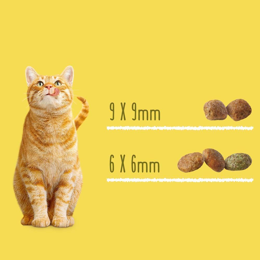 Сухий корм для котів Friskies 5 Promises Sterilized 10 кг - лосось, тунець та овочі