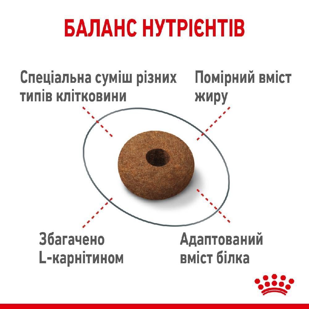 Сухой корм для кошек Royal Canin Sterilised Appetite Control 2 кг