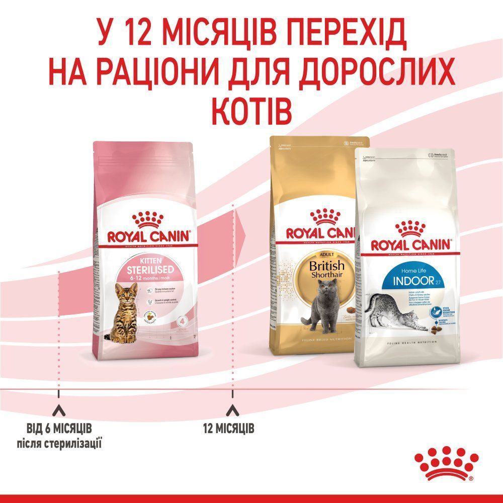Сухий корм для кошенят Royal Canin Kitten Sterilised 400 г Сухий корм для кошенят Royal Canin Kitten Sterilised 400 г