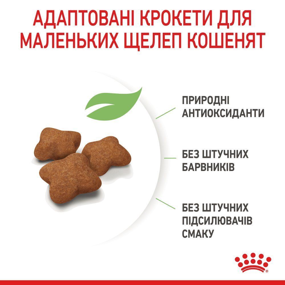 Сухий корм для кошенят Royal Canin Kitten Sterilised 400 г Сухий корм для кошенят Royal Canin Kitten Sterilised 400 г
