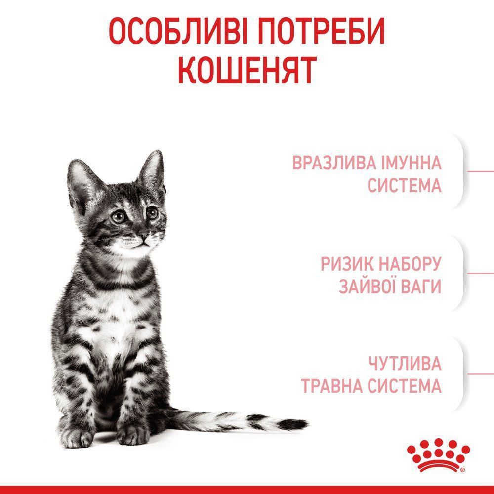 Сухий корм для кошенят Royal Canin Kitten Sterilised 400 г Сухий корм для кошенят Royal Canin Kitten Sterilised 400 г