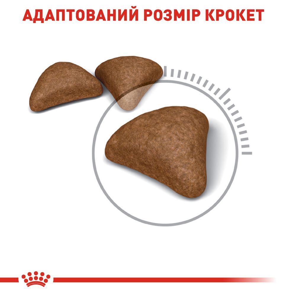 Сухий корм для котів Royal Canin Hairball Care 400 г