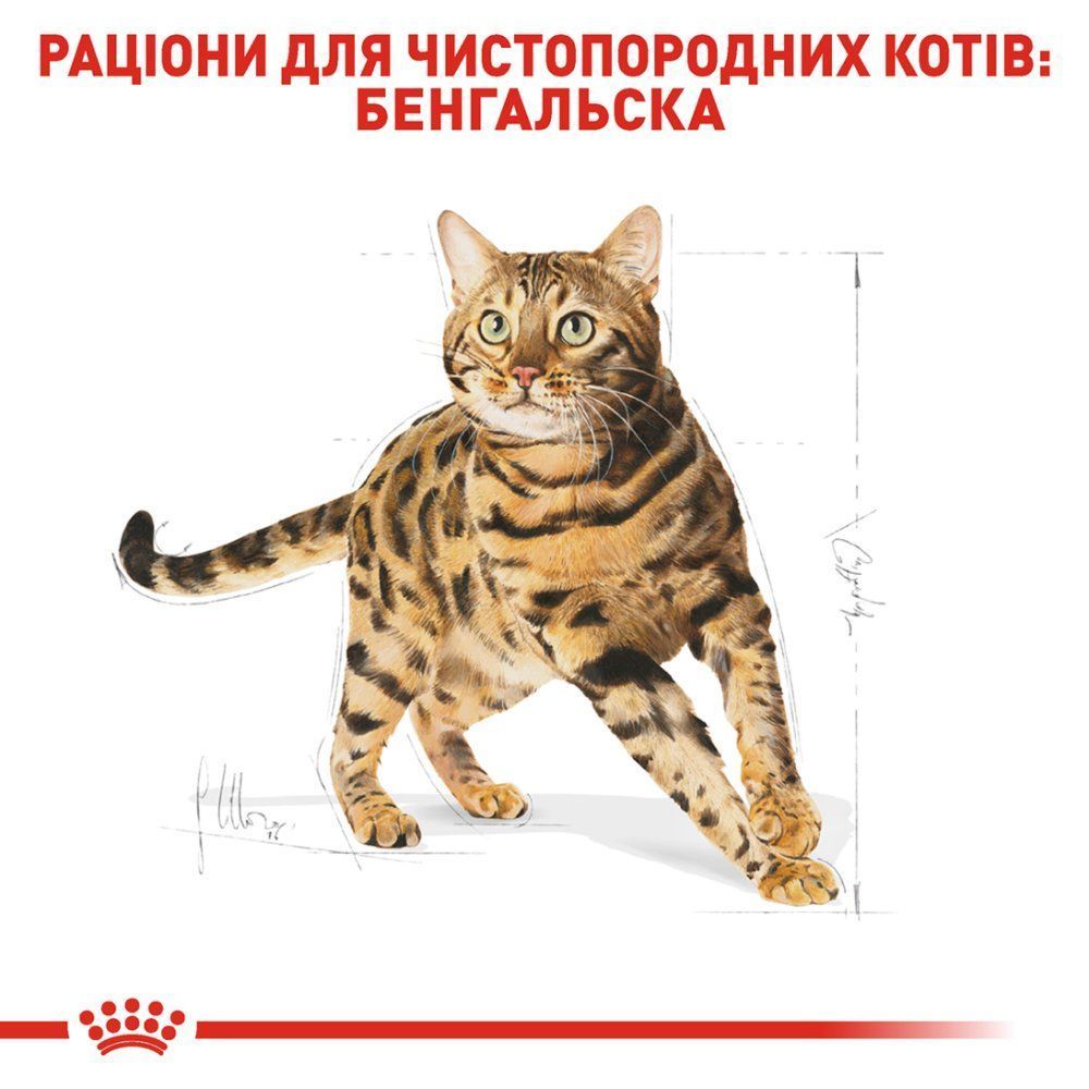 Сухий корм для котів Royal Canin Bengal Adult 2 кг Сухий корм для котів Royal Canin Bengal Adult 2 кг