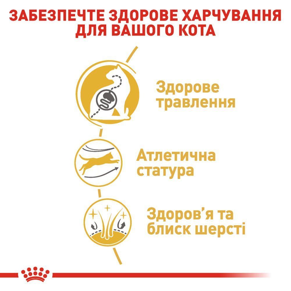 Сухий корм для котів Royal Canin Bengal Adult 2 кг Сухий корм для котів Royal Canin Bengal Adult 2 кг