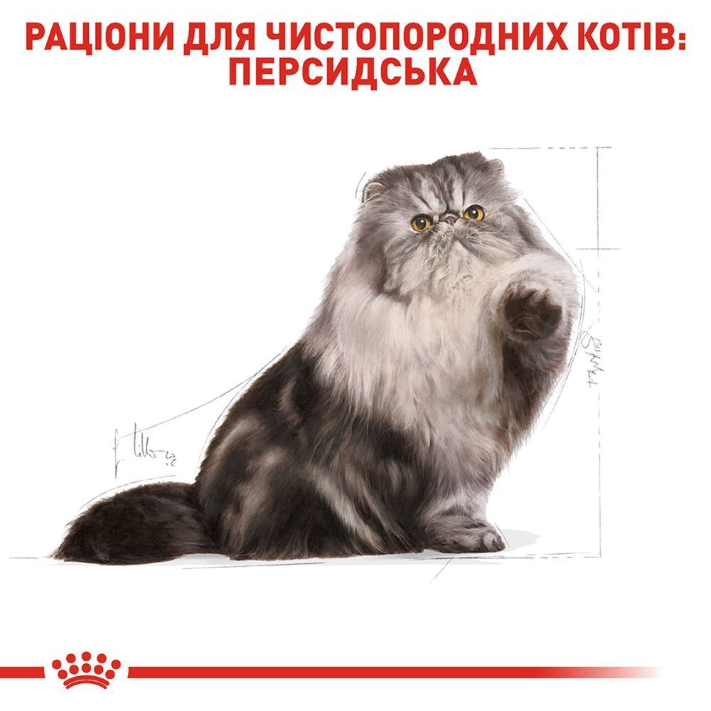 Сухий корм для котів Royal Canin Persian Adult 2 кг Сухий корм для котів Royal Canin Persian Adult 2 кг