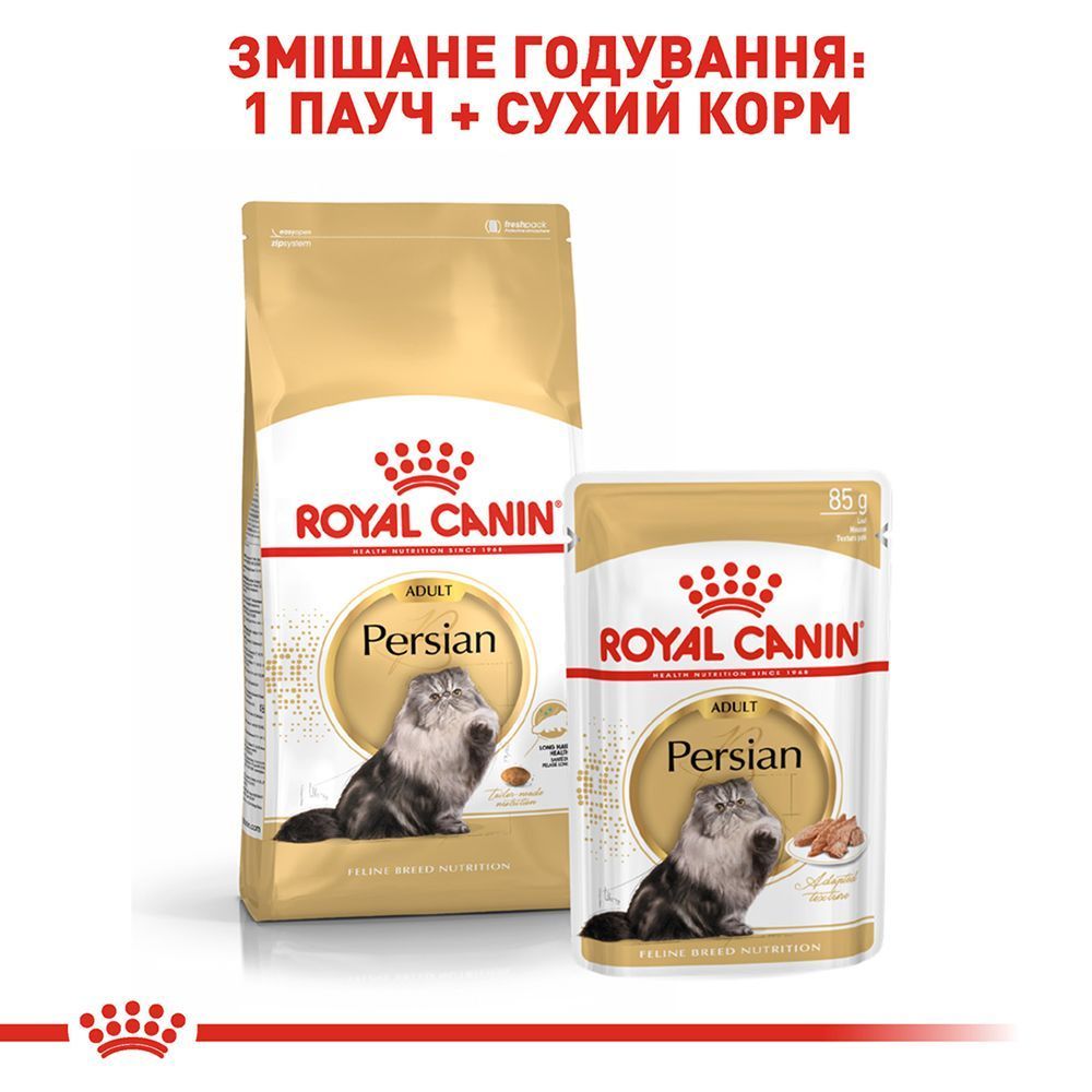 Сухий корм для котів Royal Canin Persian Adult 2 кг Сухий корм для котів Royal Canin Persian Adult 2 кг