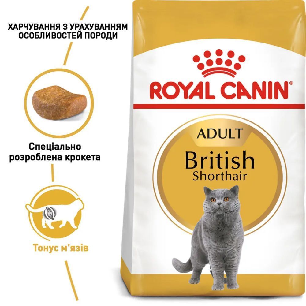 Сухий корм для котів Royal Canin British Shorthair Adult 2 кг + 400 г Сухий корм для котів Royal Canin British Shorthair Adult 2 кг + 400 г