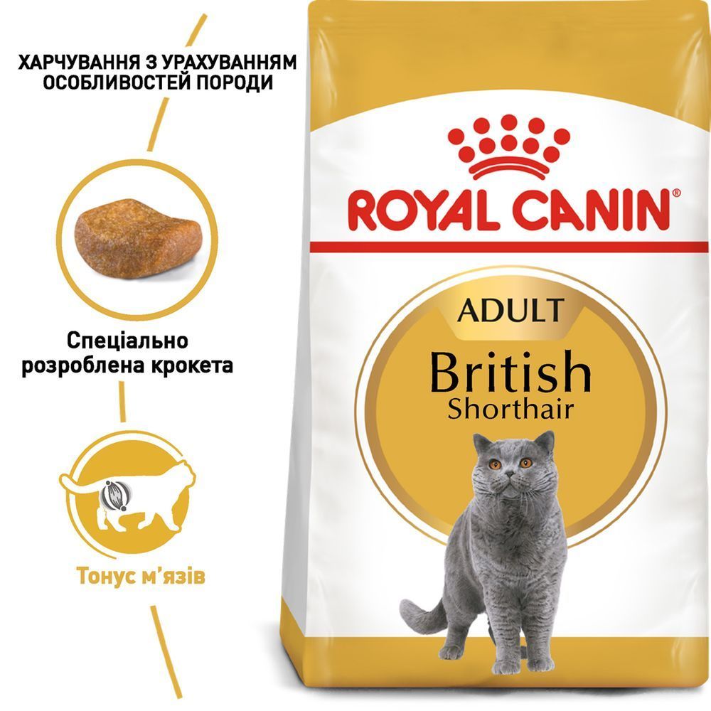 Сухий корм для котів Royal Canin British Shorthair Adult 400 г Сухий корм для котів Royal Canin British Shorthair Adult 400 г