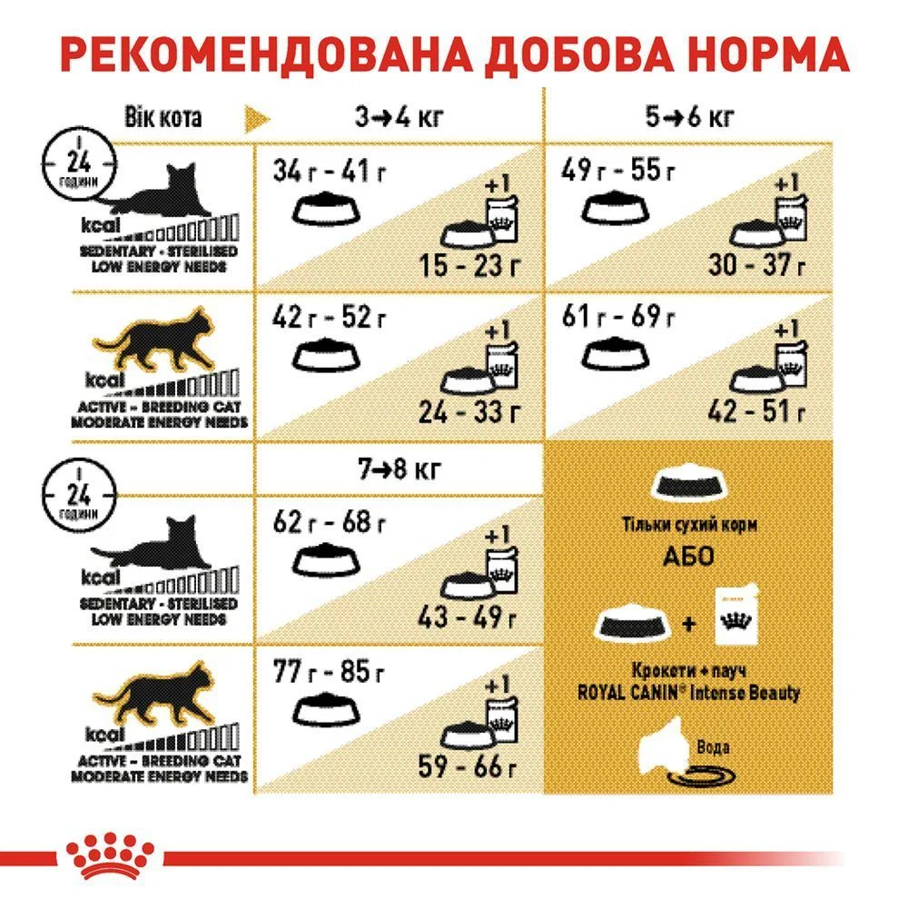 Сухий корм для котів Royal Canin British Shorthair Adult 400 г Сухий корм для котів Royal Canin British Shorthair Adult 400 г