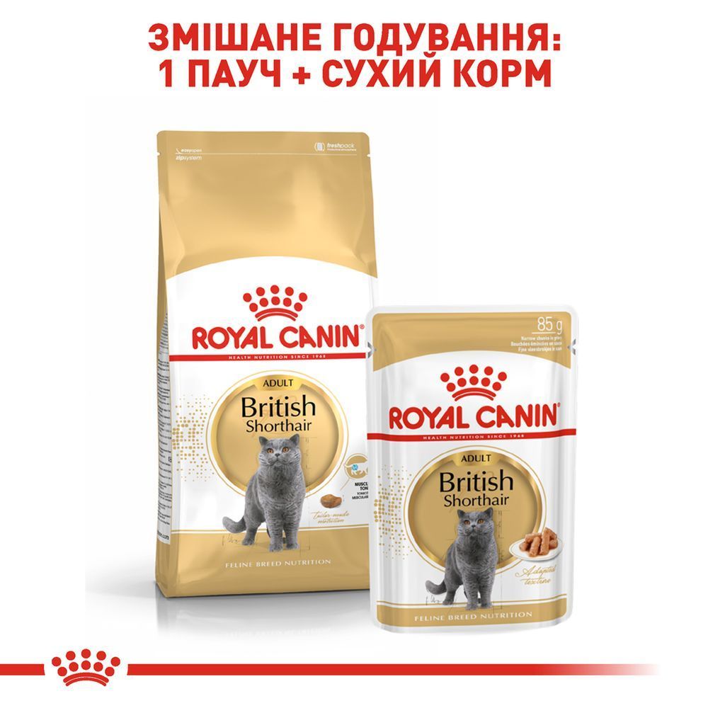 Сухий корм для котів Royal Canin British Shorthair Adult 400 г Сухий корм для котів Royal Canin British Shorthair Adult 400 г