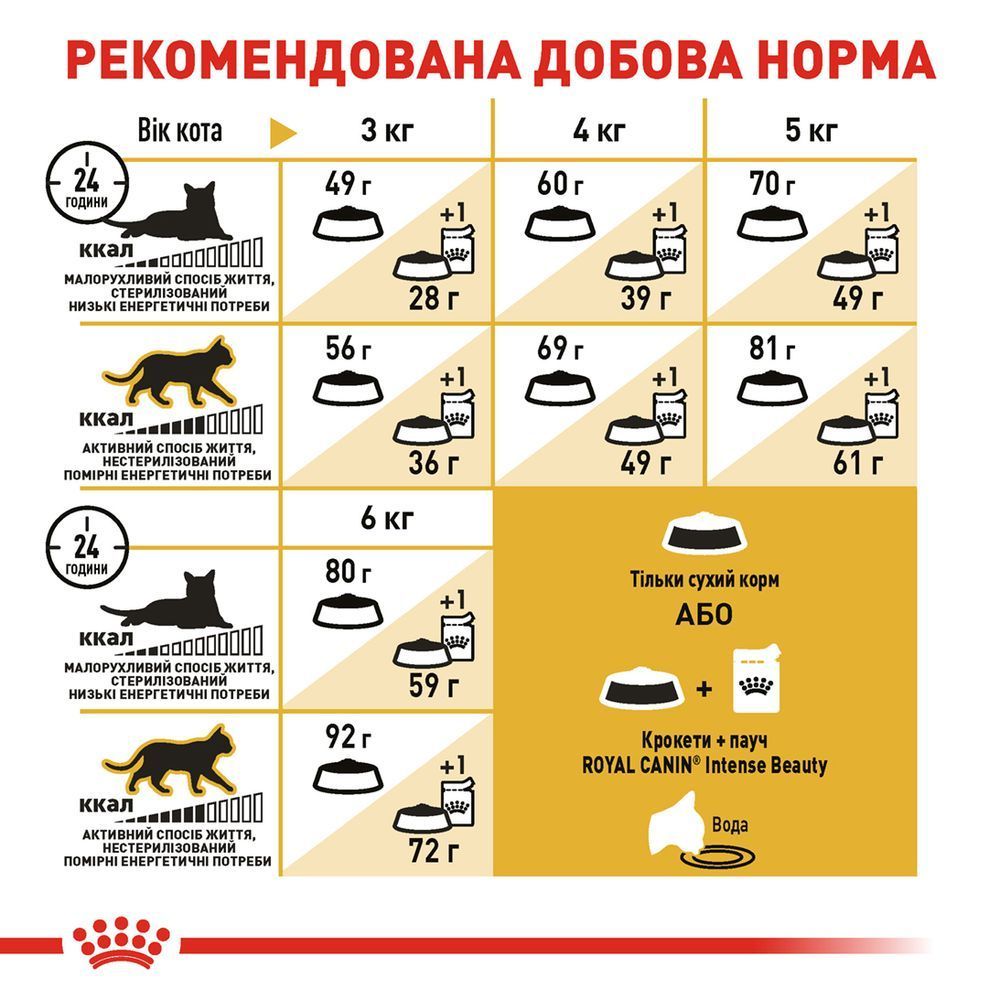 Сухий корм для котів Royal Canin Sphynx Adult 2 кг Сухий корм для котів Royal Canin Sphynx Adult 2 кг