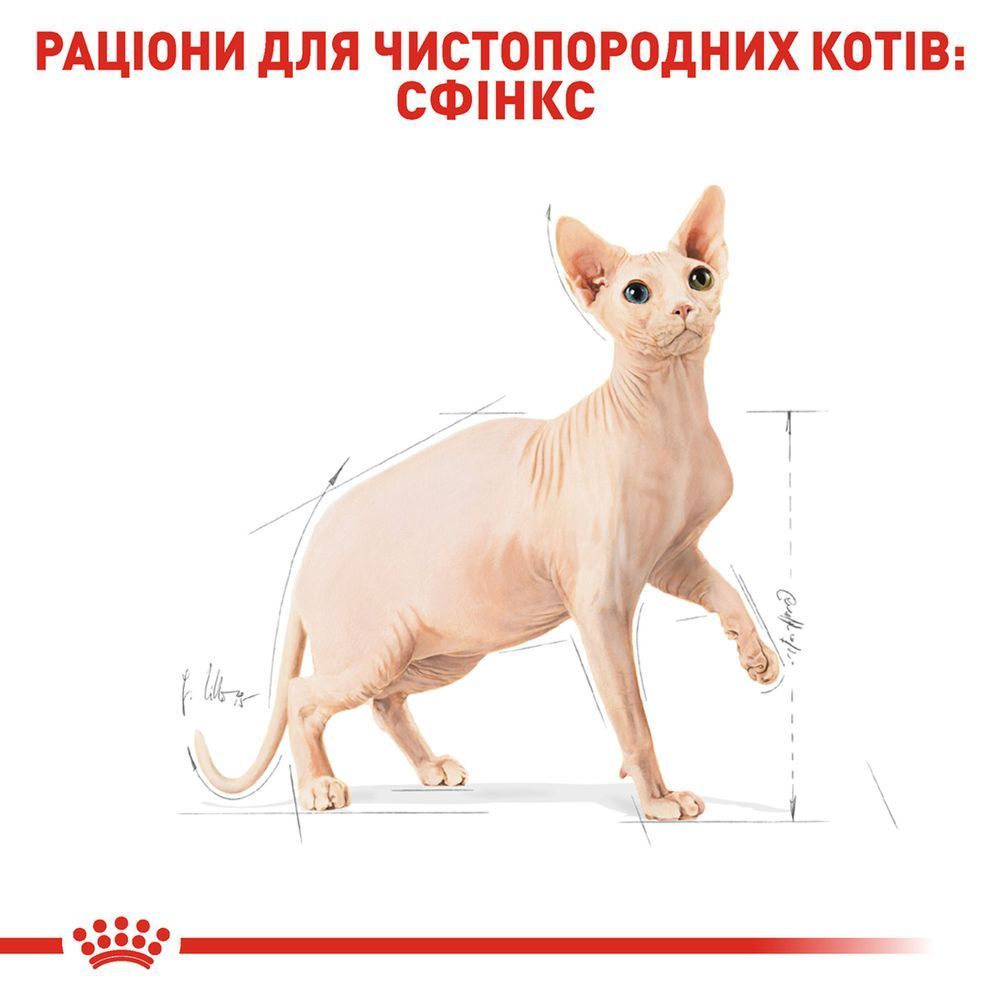 Сухий корм для котів Royal Canin Sphynx Adult 2 кг Сухий корм для котів Royal Canin Sphynx Adult 2 кг