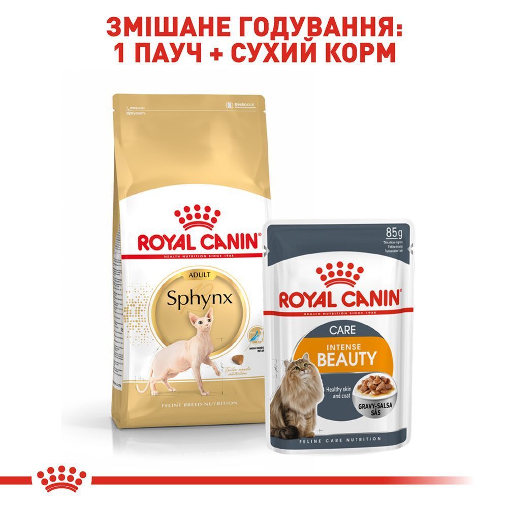 Сухий корм для котів Royal Canin Sphynx Adult 2 кг Сухий корм для котів Royal Canin Sphynx Adult 2 кг