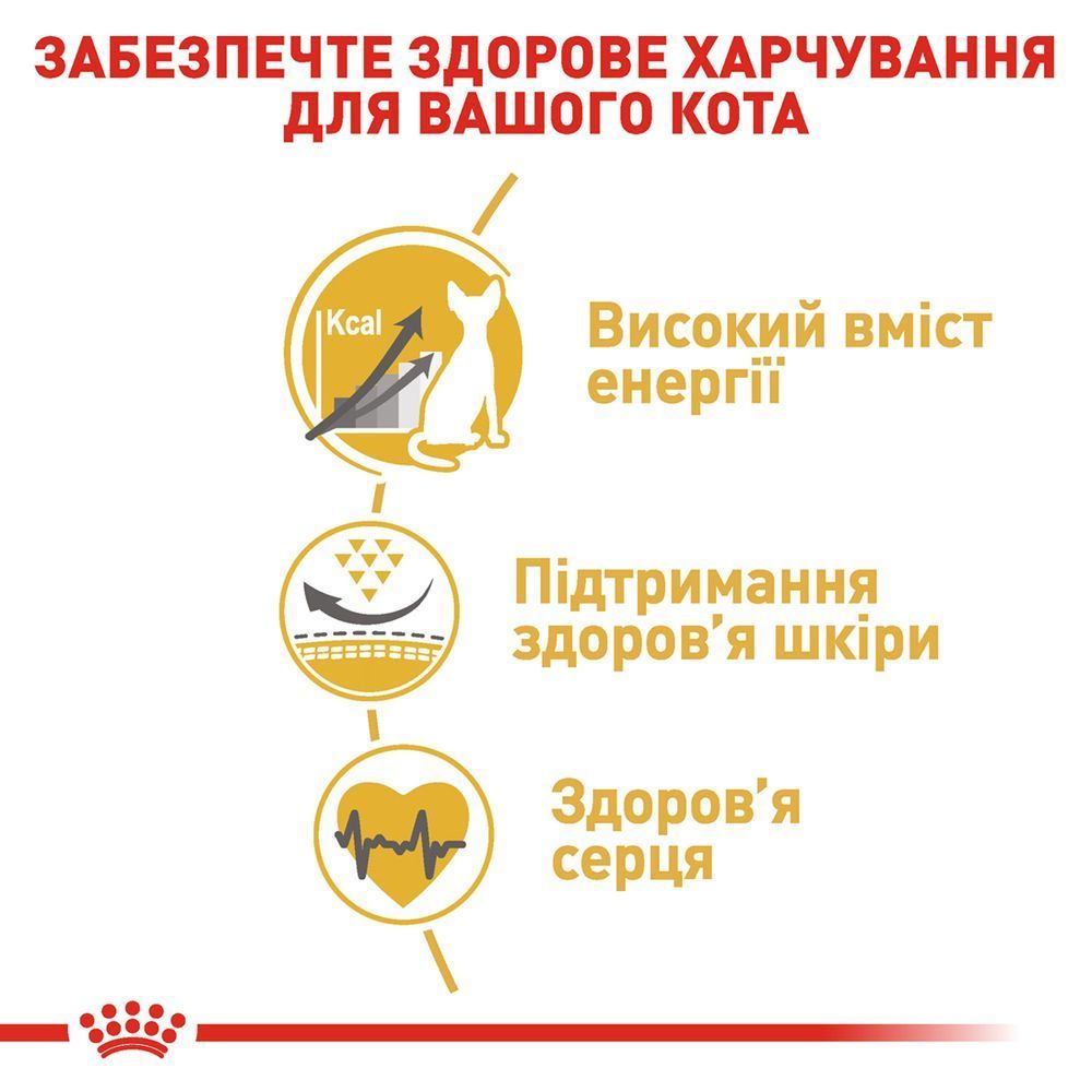 Сухий корм для котів Royal Canin Sphynx Adult 2 кг Сухий корм для котів Royal Canin Sphynx Adult 2 кг