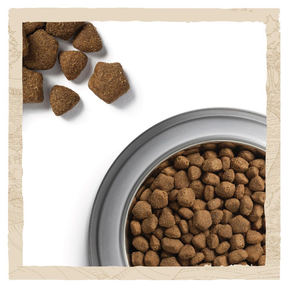 Сухой корм для собак Dog Chow Adult Large Breed 14 кг - индейка Сухой корм для собак Dog Chow Adult Large Breed 14 кг - индейка