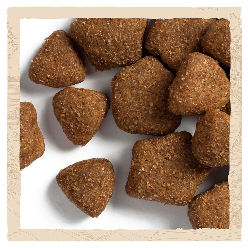 Сухой корм для собак Dog Chow Adult Large Breed 14 кг - индейка Сухой корм для собак Dog Chow Adult Large Breed 14 кг - индейка