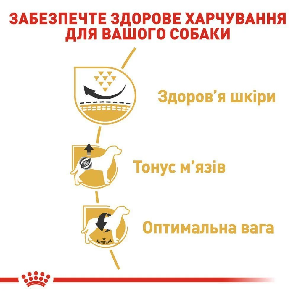 Сухий корм для собак Royal Canin Pug Adult 3 кг Сухий корм для собак Royal Canin Pug Adult 3 кг
