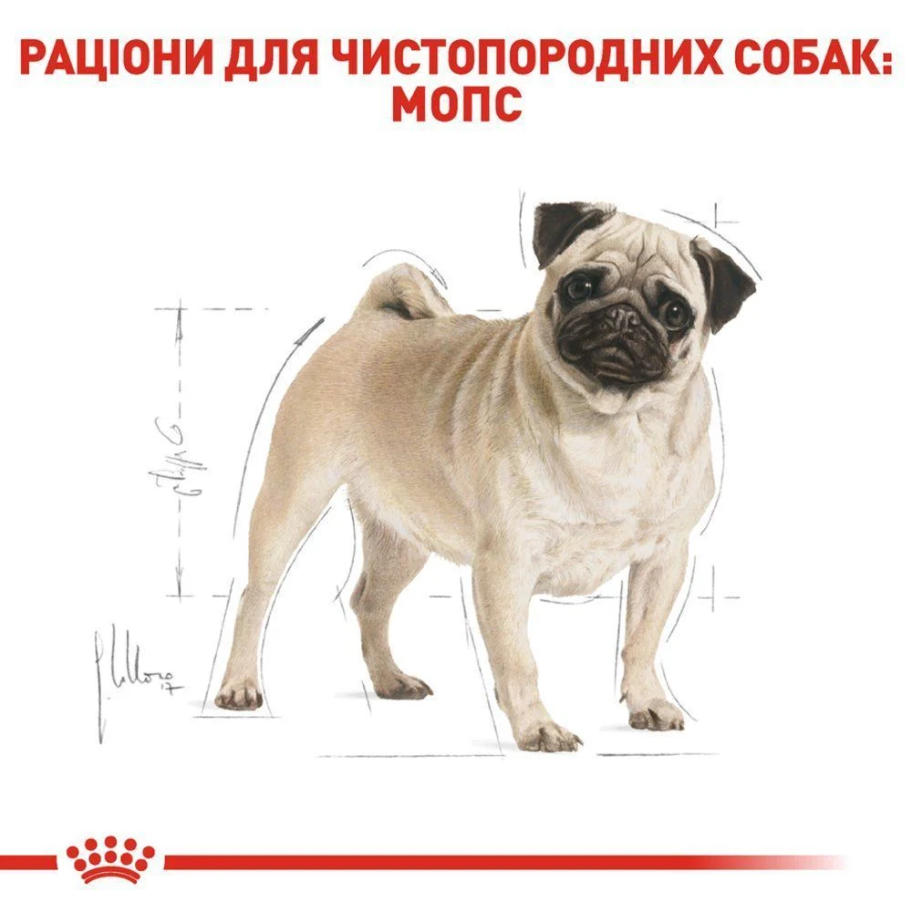 Сухий корм для собак Royal Canin Pug Adult 3 кг Сухий корм для собак Royal Canin Pug Adult 3 кг