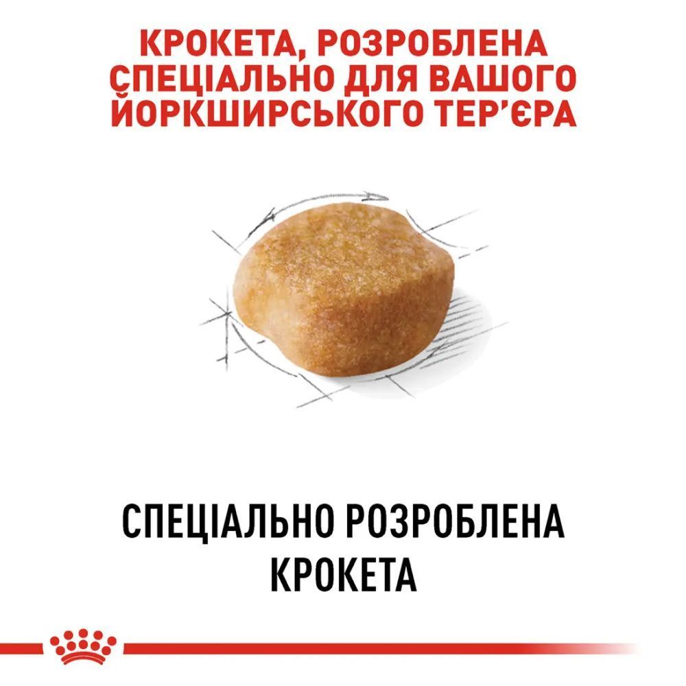 Cухий корм для собак Royal Canin Yorkshire Terrier Adult 1,5 кг + 500 г