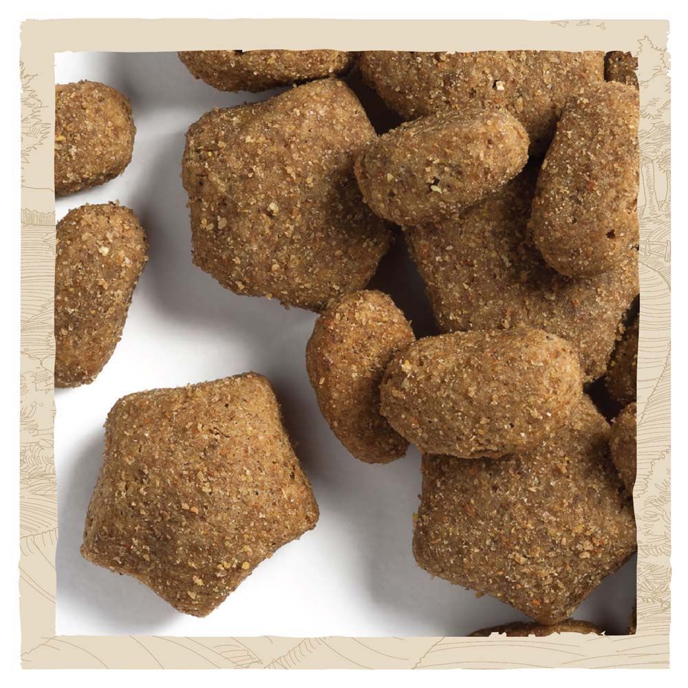 Cухий корм для собак Dog Chow Sensetive 14 кг - лосось