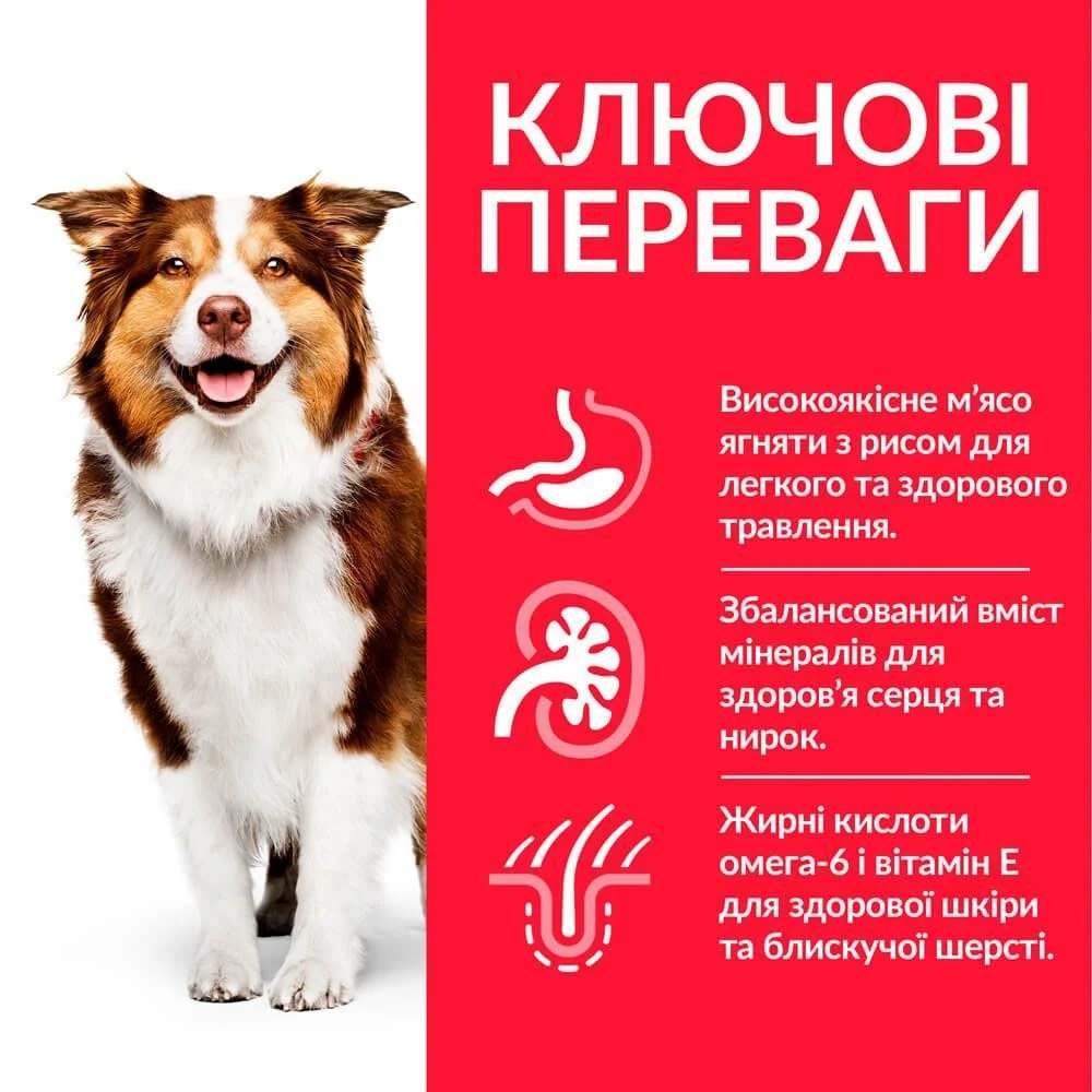 Сухий корм для собак Hill’s Science Plan Mature Adult 7+ Medium Breed 2,5 кг - ягня та рис Сухий корм для собак Hill’s Science Plan Mature Adult 7+ Medium Breed 2,5 кг - ягня та рис