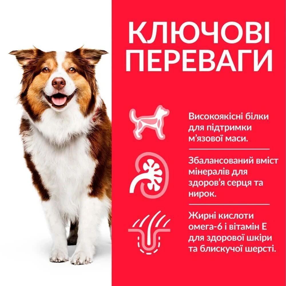 Сухий корм для собак Hill’s Science Plan Mature Adult 7+ Medium Breed 14 кг - курка