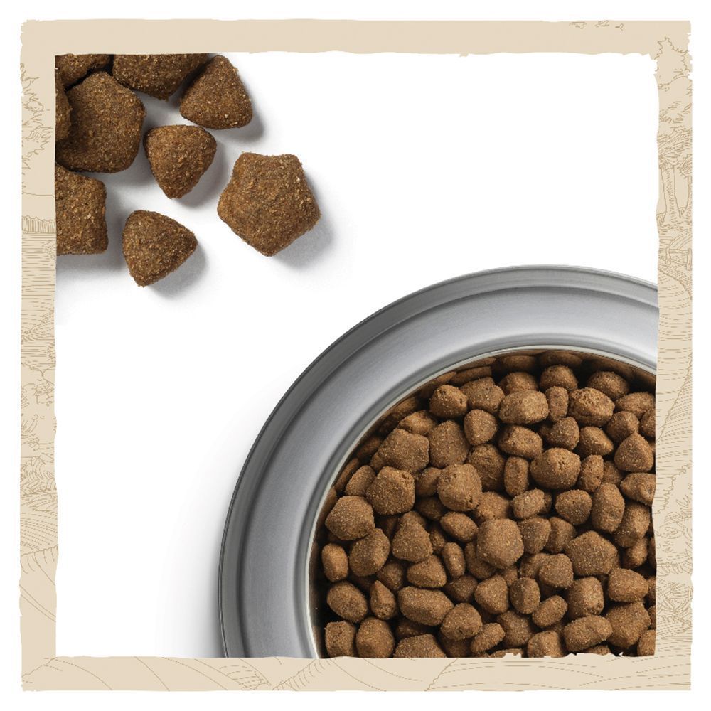 Cухий корм для собак Dog Chow Adult 14 кг - ягня