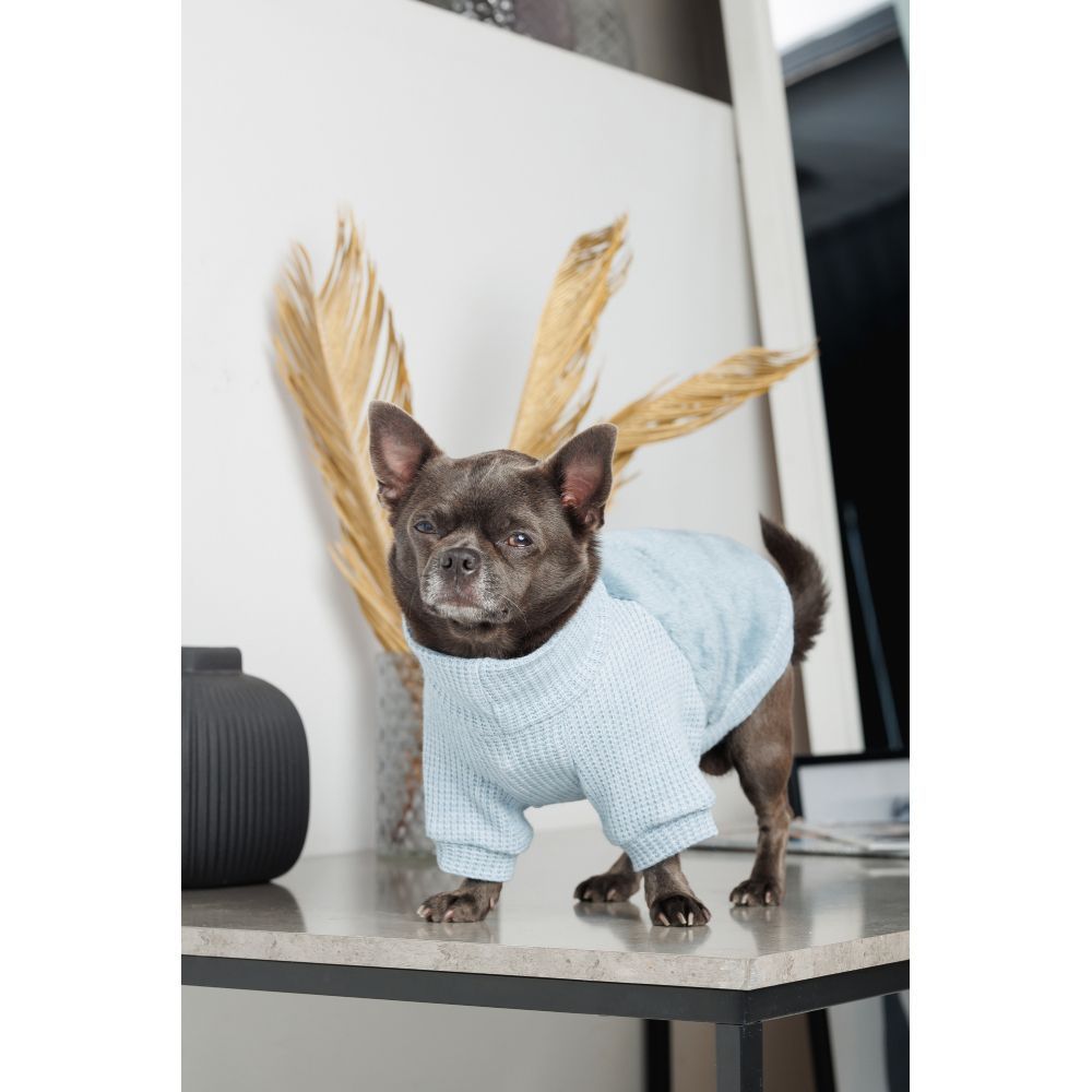 Светр для собак Pet Fashion Fur XS-2 Светр для собак Pet Fashion Fur XS-2
