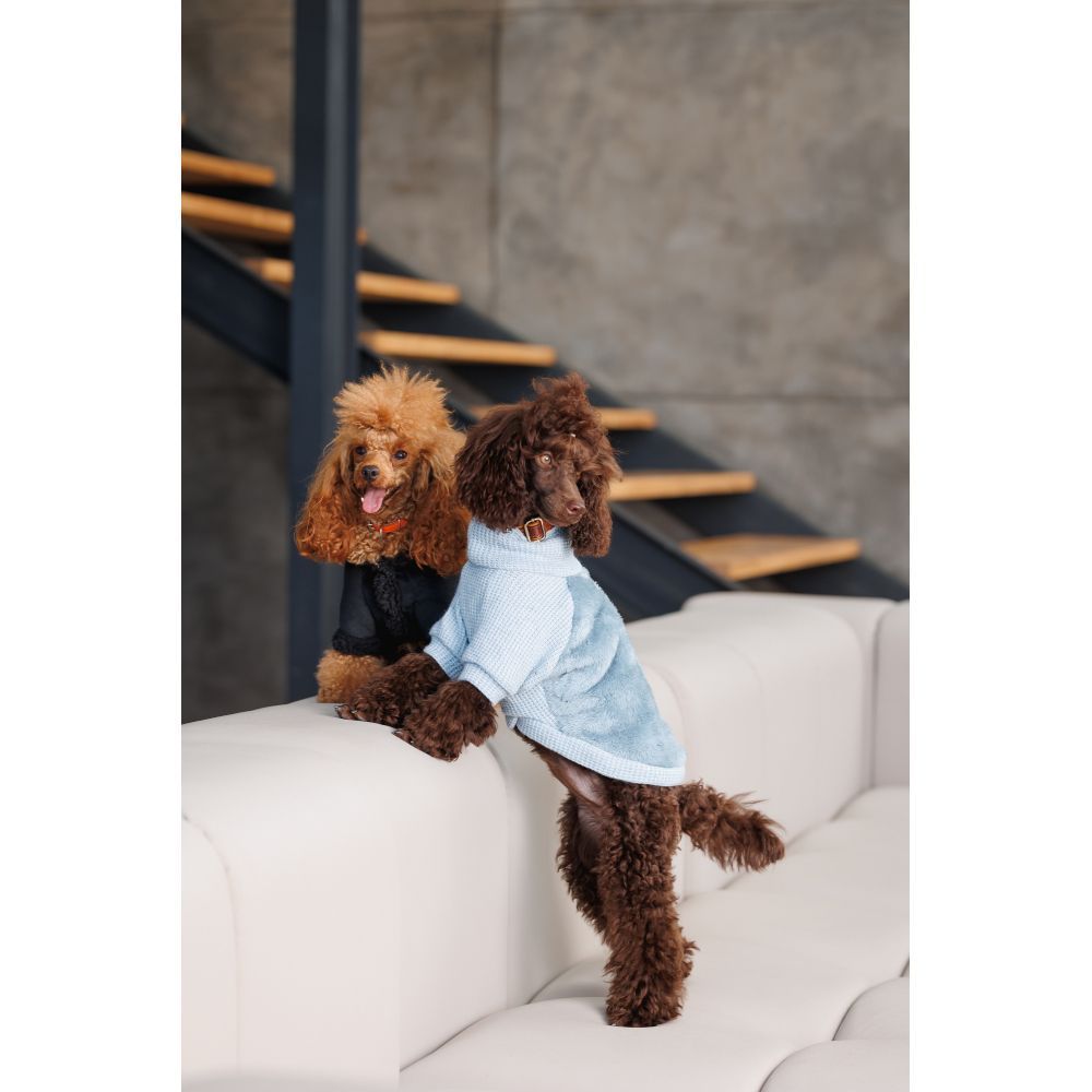 Светр для собак Pet Fashion Fur XS-2 Светр для собак Pet Fashion Fur XS-2