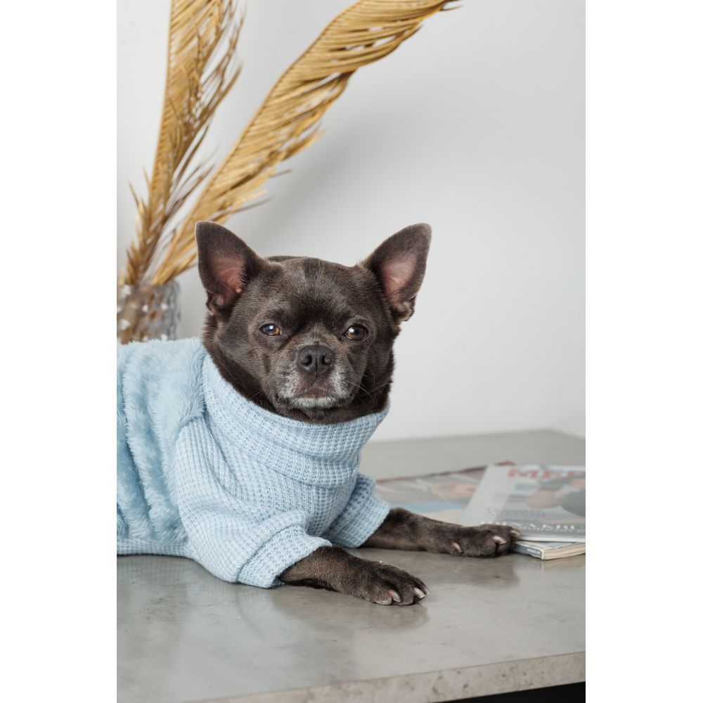 Светр для собак Pet Fashion Fur XS-2 Светр для собак Pet Fashion Fur XS-2