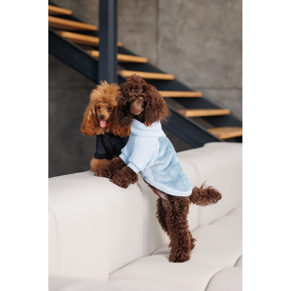 Светр для собак Pet Fashion Fur XS-2 Светр для собак Pet Fashion Fur XS-2