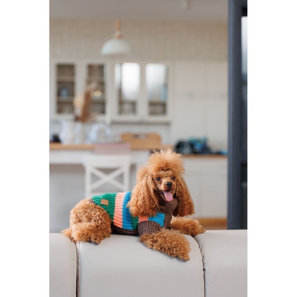 Светр для собак Pet Fashion Happy XXS Светр для собак Pet Fashion Happy XXS