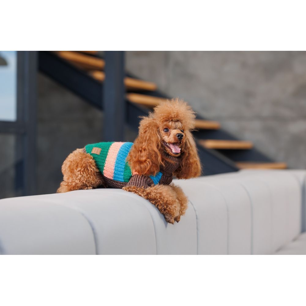 Светр для собак Pet Fashion Happy XXS Светр для собак Pet Fashion Happy XXS