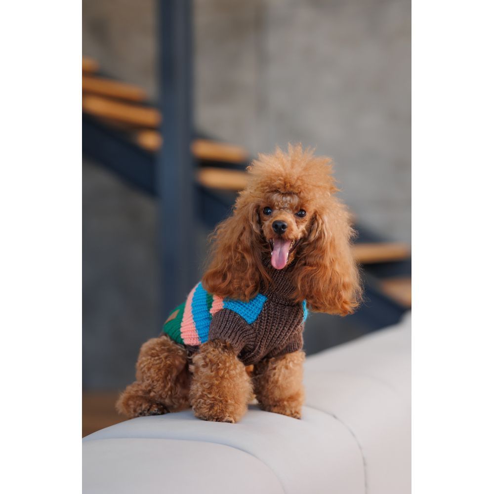 Светр для собак Pet Fashion Happy XXS Светр для собак Pet Fashion Happy XXS