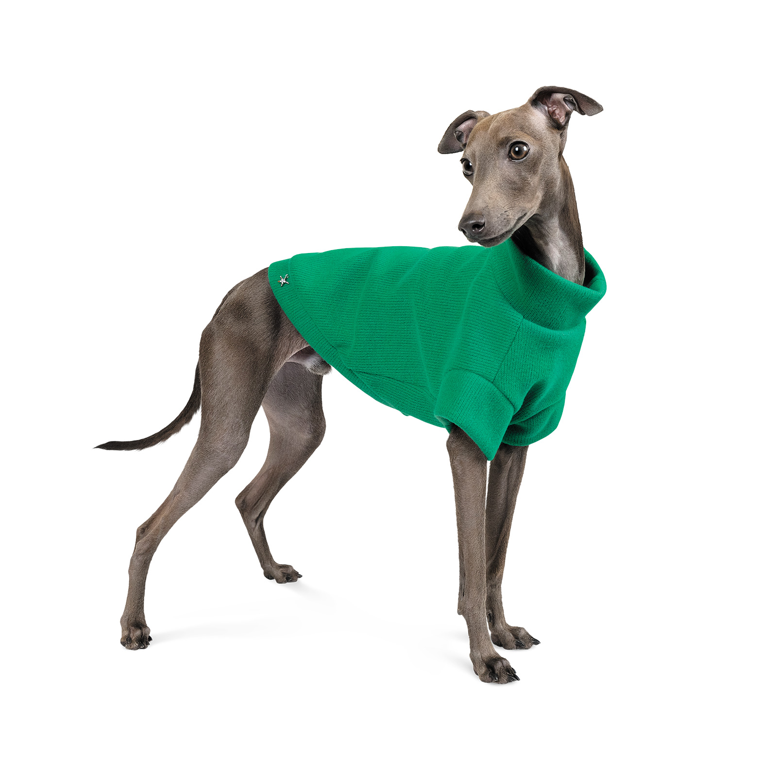 Свитер для собак Pet Fashion «Green» XS-2 (зеленый)
