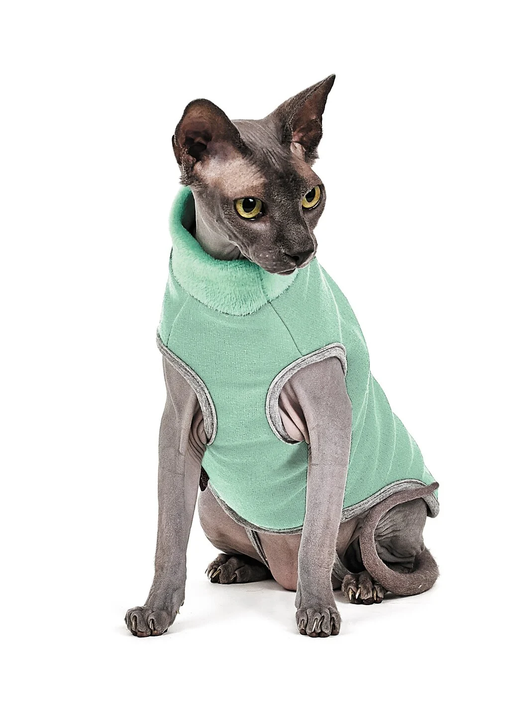 Светр для котів Pet Fashion «Брюс» XXS (зелений)
