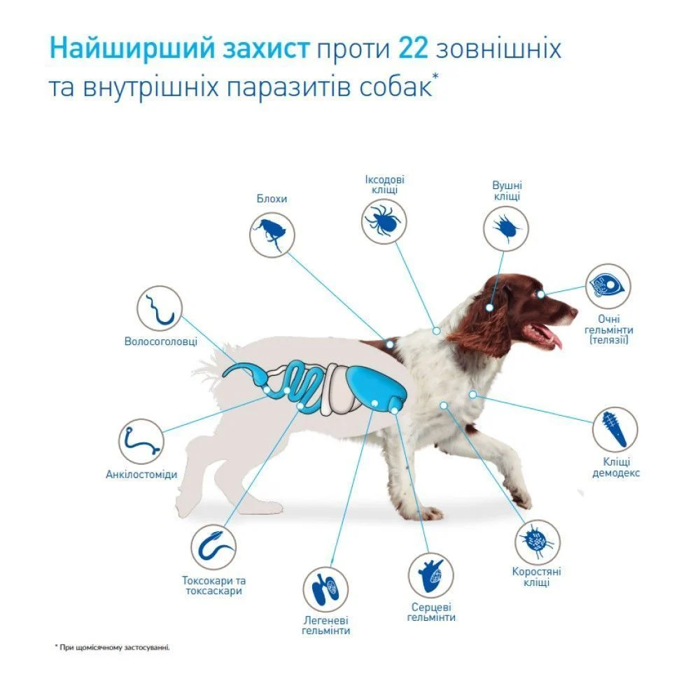 Boehringer Ingelheim NexGard Spectra L таблетки для собак від 15,1 до 30 кг 1 шт Boehringer Ingelheim NexGard Spectra L таблетки для собак від 15,1 до 30 кг 1 шт