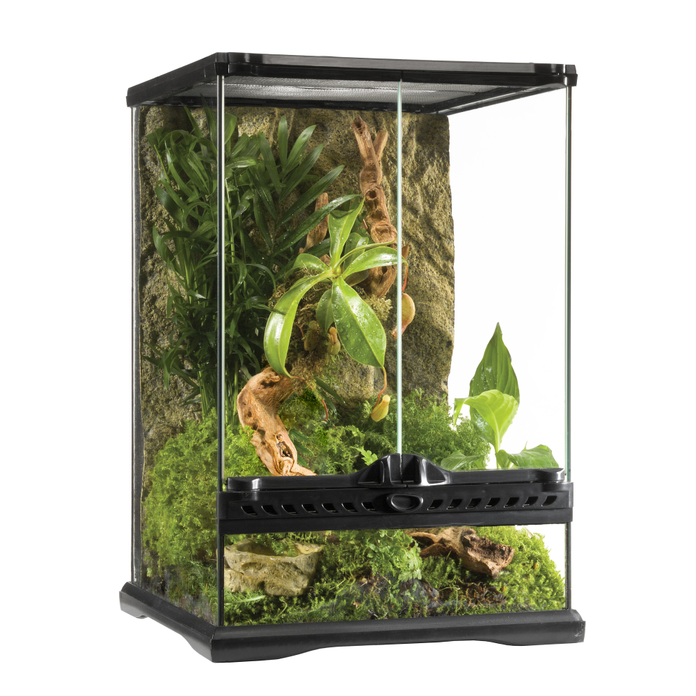 Exo Terra Natural Terrarium скляний тераріум 30x30x45 см Exo Terra Natural Terrarium скляний тераріум 30x30x45 см
