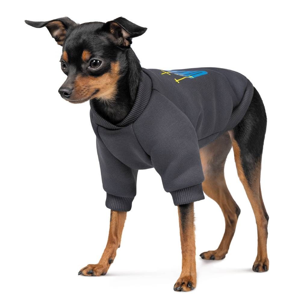 Pet Fashion I stand with Ukraine товстівка для собак XS Pet Fashion I stand with Ukraine товстівка для собак XS