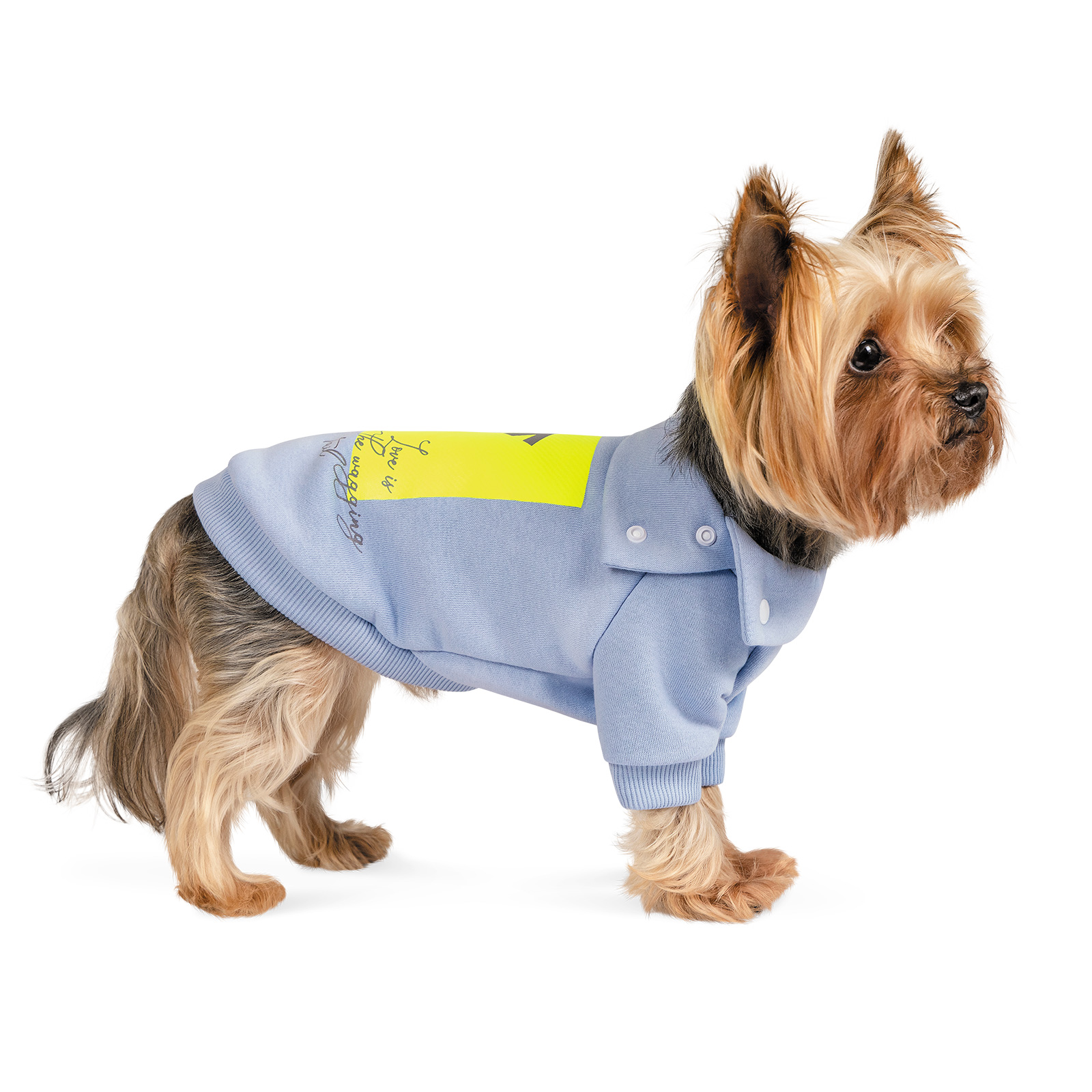 Pet Fashion Light толстовка для собак S Pet Fashion Light толстовка для собак S
