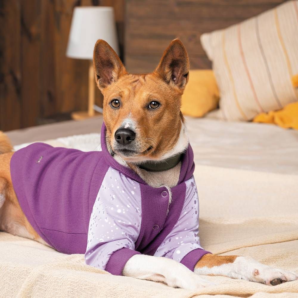 Товстівка для собак Pet Fashion «Lilac» XS Товстівка для собак Pet Fashion «Lilac» XS