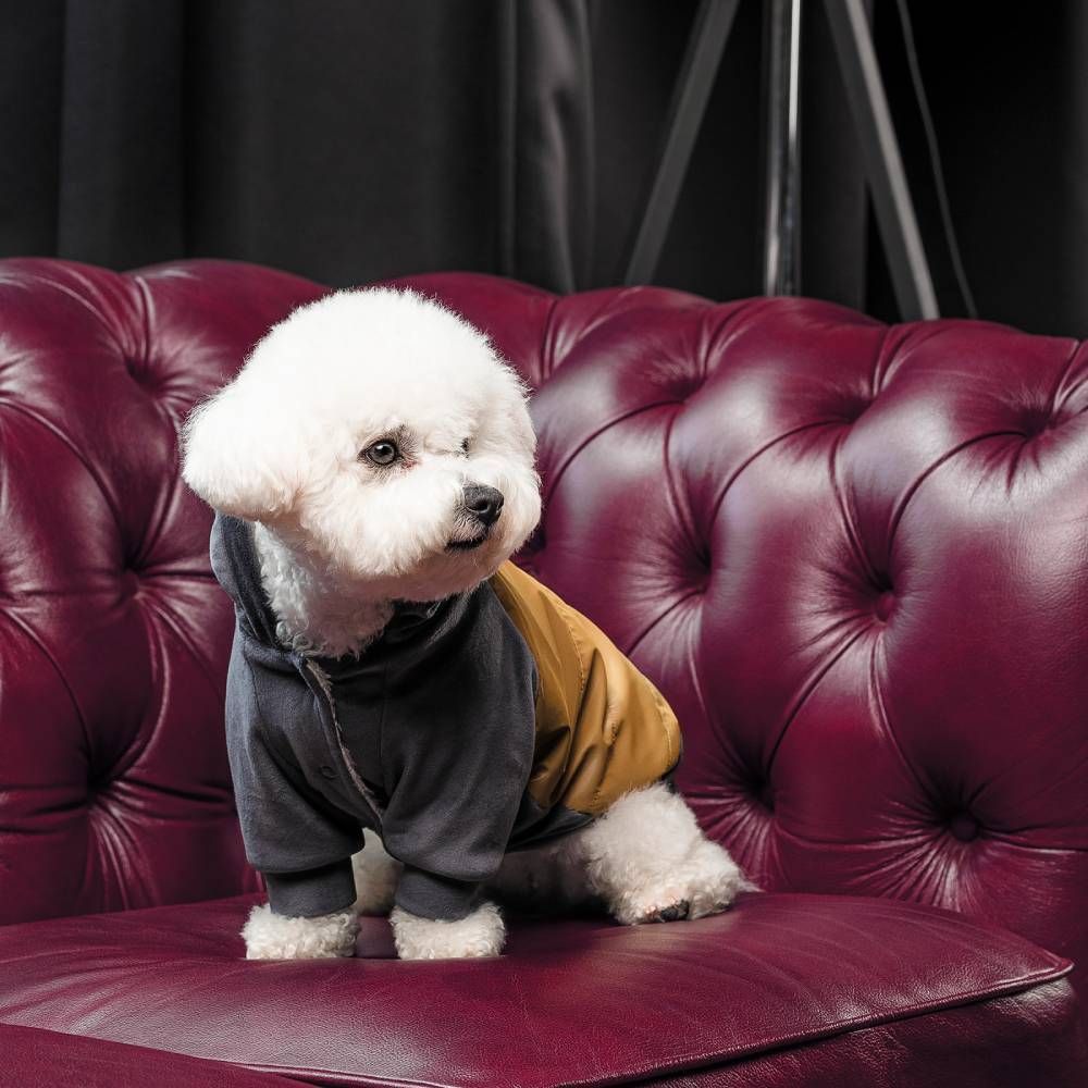 Pet Fashion Rollie толстовка для собак XXS Pet Fashion Rollie толстовка для собак XXS