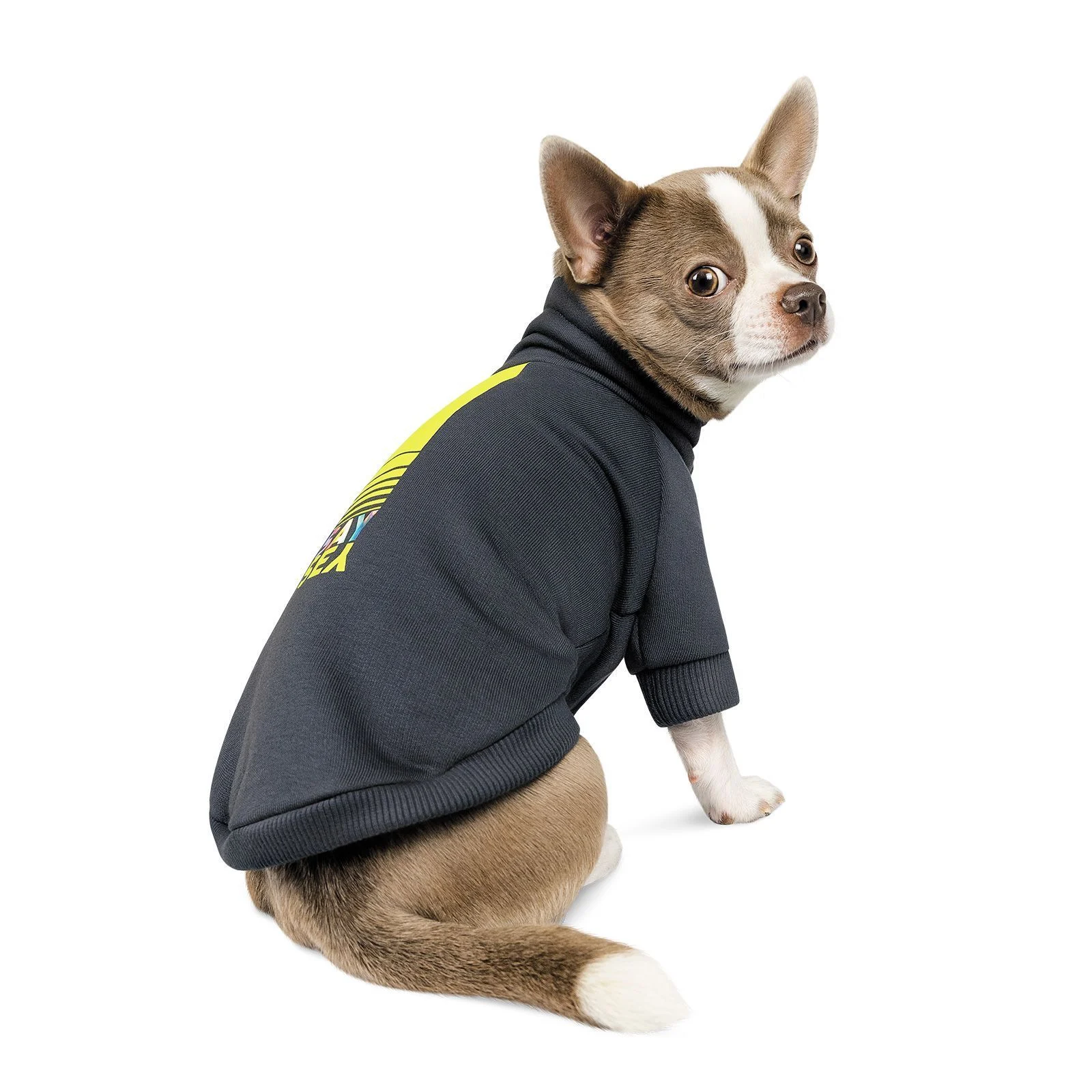 Товстівка для собак Pet Fashion «Carbon» XS (темно-сіра) Товстівка для собак Pet Fashion «Carbon» XS (темно-сіра)