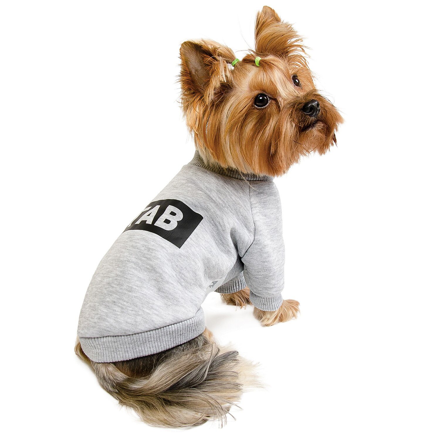 Толстовка для собак Pet Fashion «Дарю любовь за вкусняшку» S