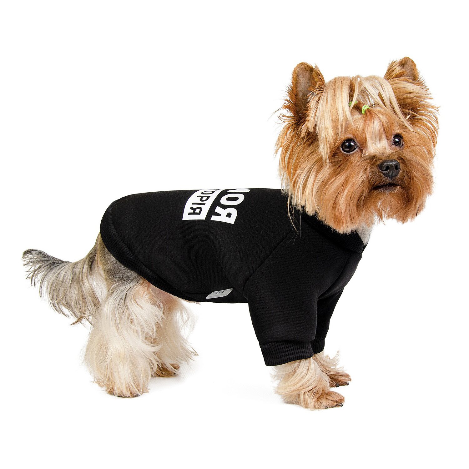Толстовка для собак Pet Fashion «#Гав» XS