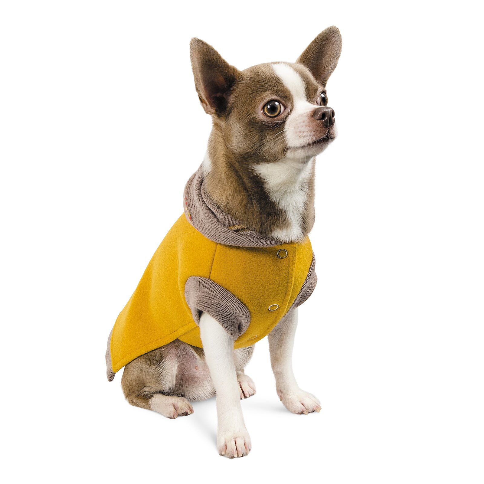Толстовка для собак Pet Fashion «Капсула» XS