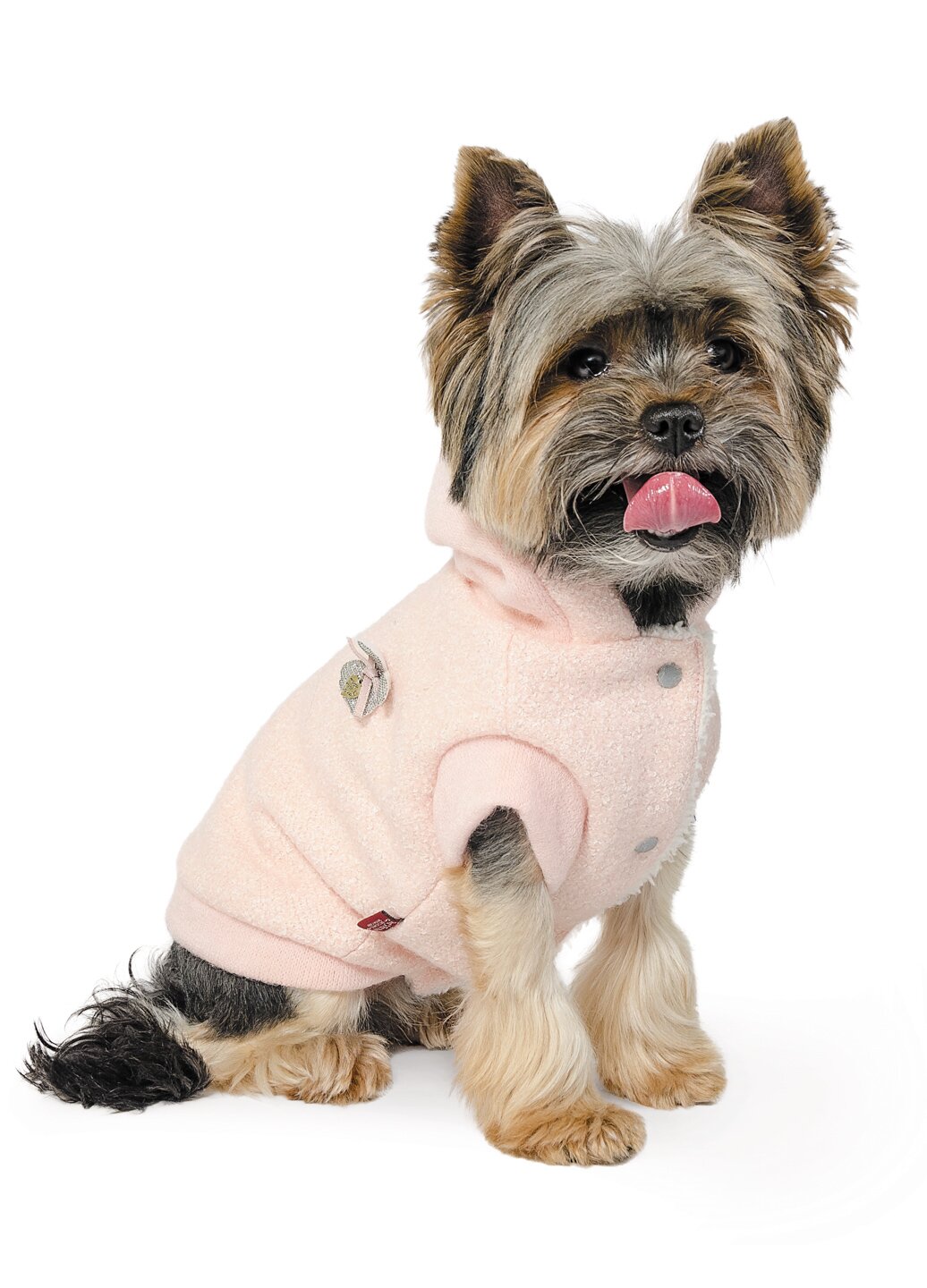 Толстовка для собак Pet Fashion «Сьюзи» XXS