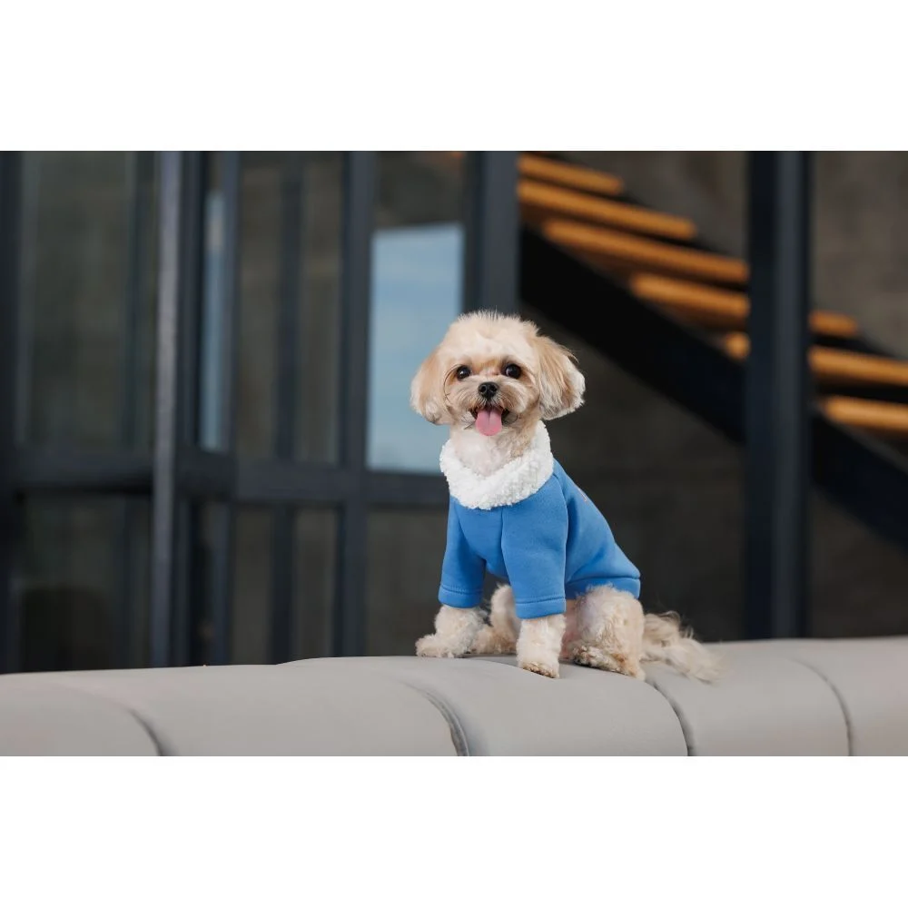 Товстівка для собак Pet Fashion Tinsel М Товстівка для собак Pet Fashion Tinsel М