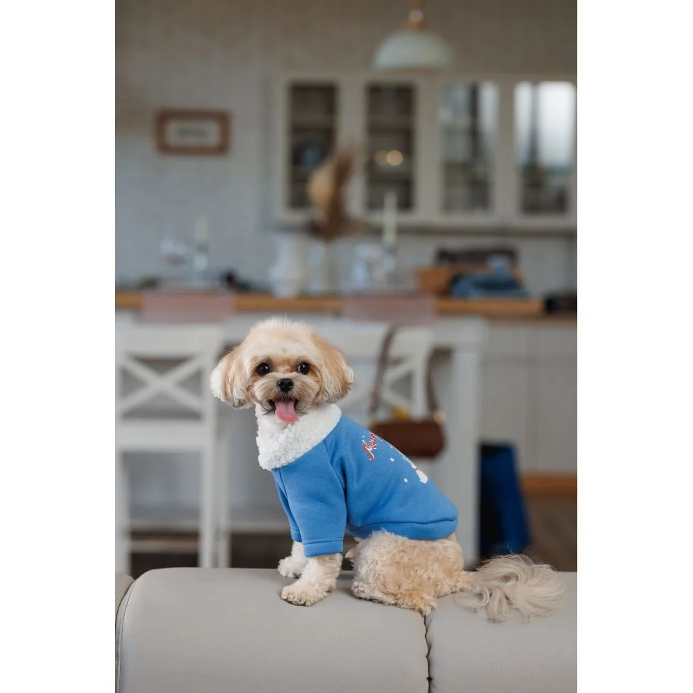 Товстівка для собак Pet Fashion Tinsel М Товстівка для собак Pet Fashion Tinsel М